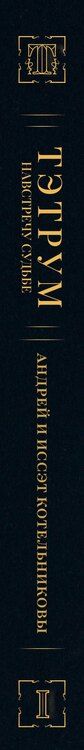 Фотография книги "Дмитриевич, Викторовна: Тэтрум I. Навстречу судьбе"