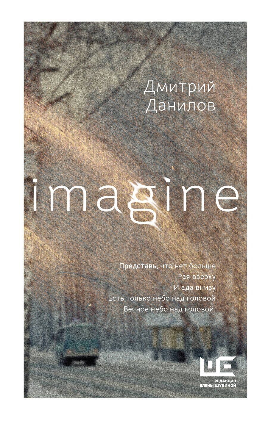 Обложка книги "Дмитрий Данилов: Imagine"