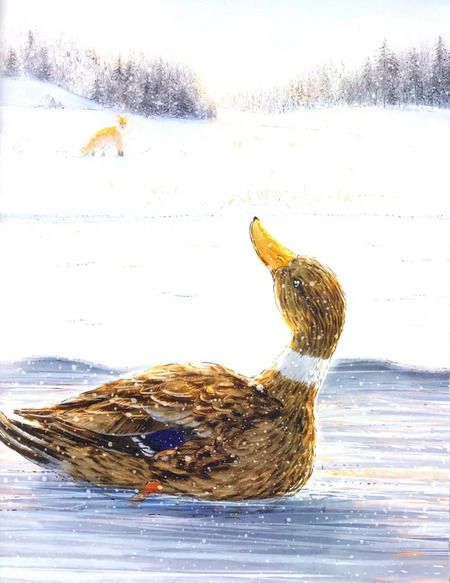 Фотография книги "Дмитрий Мамин-Сибиряк: Серая Шейка"