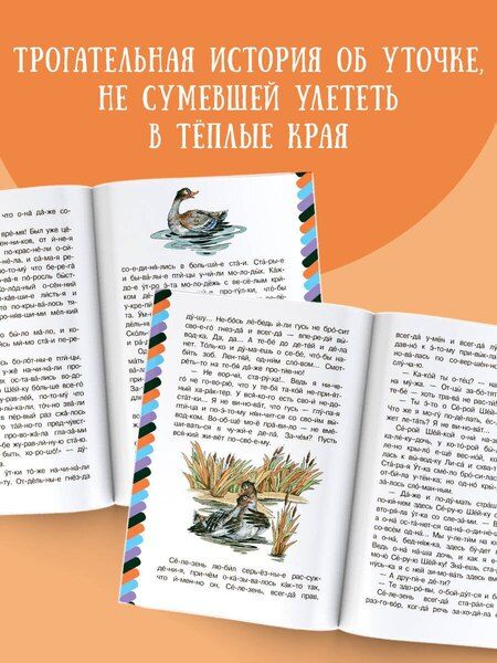 Фотография книги "Дмитрий Мамин-Сибиряк: Серая Шейка"