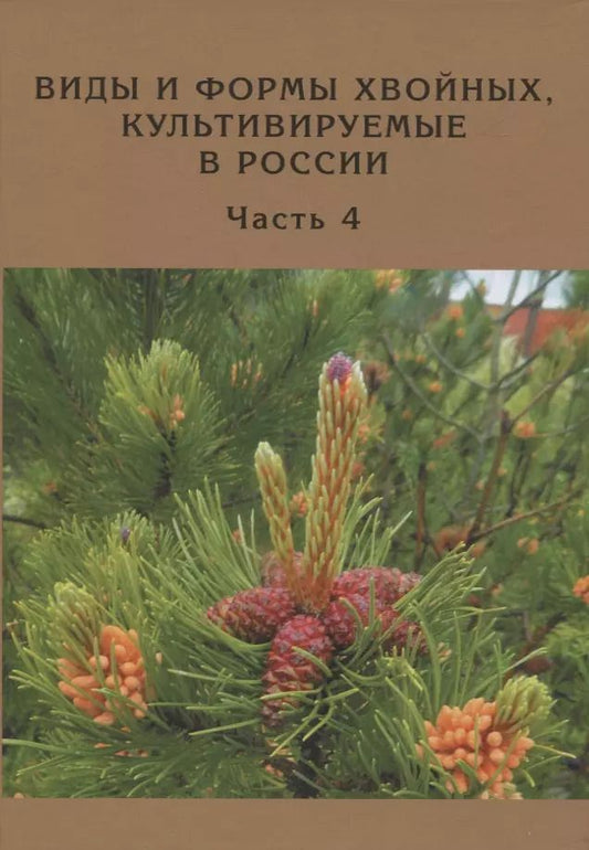Обложка книги "Дмитрий Матюхин: Виды и формы хвойных, культивируемые в России. Часть 4. Сосна"