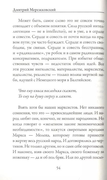 Фотография книги "Дмитрий Мережковский: Грядущий хам. Больная Россия"