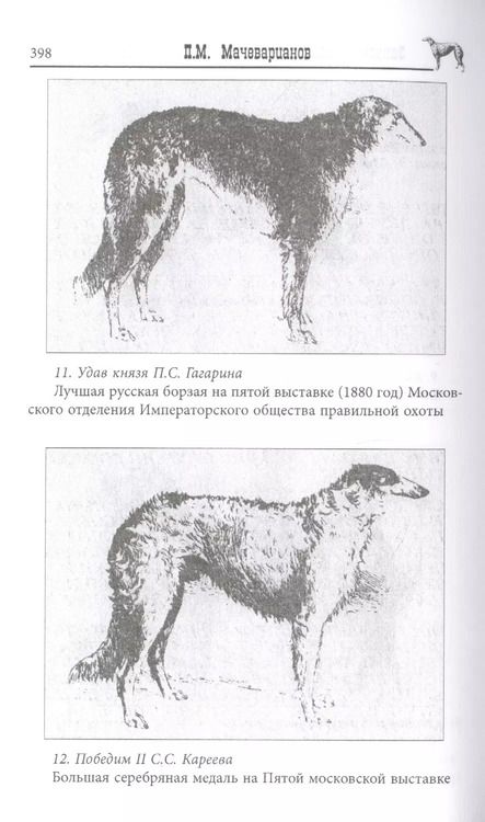Фотография книги "Дмитрий Михайлович: Записки псового охотника"