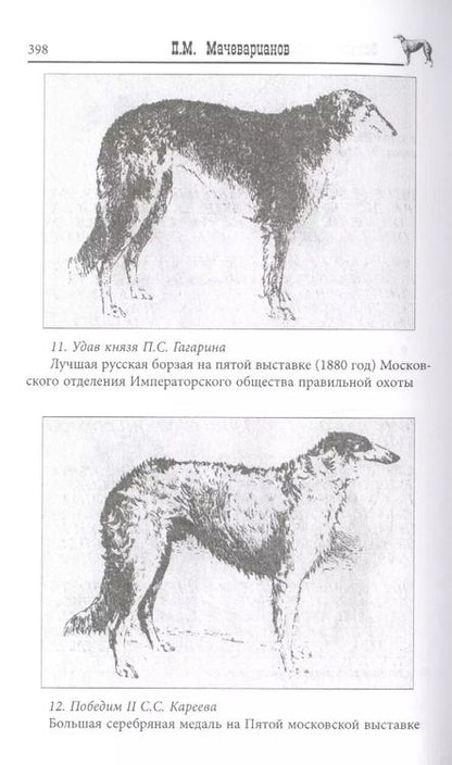 Фотография книги "Дмитрий Михайлович: Записки псового охотника"