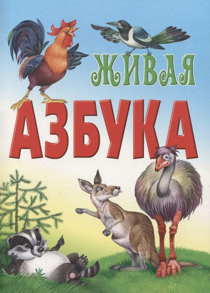 Обложка книги "Дмитрий Новиков: Живая азбука"