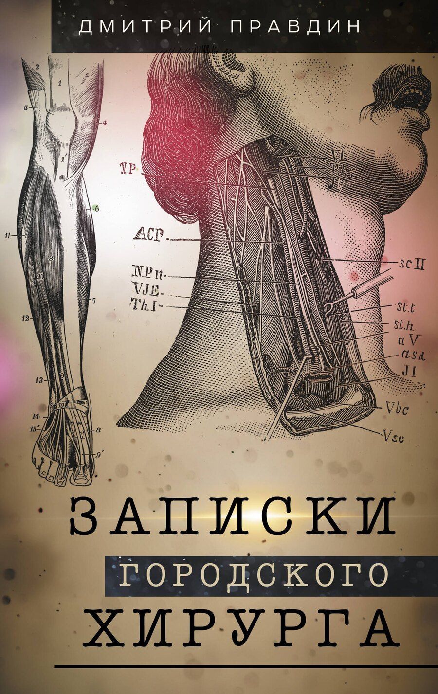 Обложка книги "Дмитрий Правдин: Записки городского хирурга"
