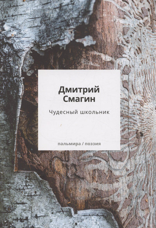 Обложка книги "Дмитрий Смагин: Чудесный школьник: сборник стихотворений"