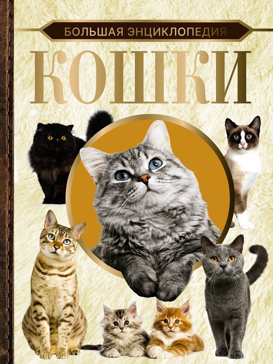 Обложка книги "Дмитрий Смирнов: Большая энциклопедия. Кошки"