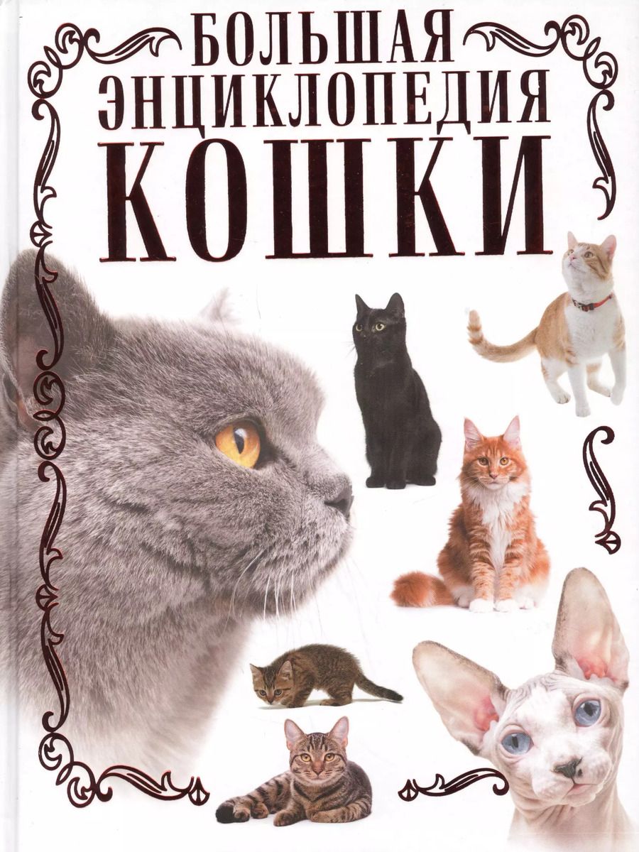 Обложка книги "Дмитрий Смирнов: Кошки. Большая энциклопедия"