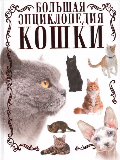 Обложка книги "Дмитрий Смирнов: Кошки. Большая энциклопедия"