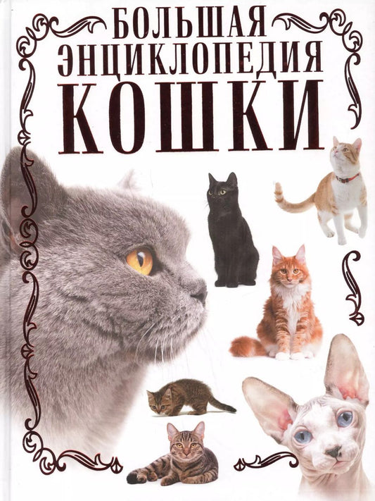 Обложка книги "Дмитрий Смирнов: Кошки. Большая энциклопедия"