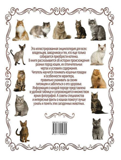 Фотография книги "Дмитрий Смирнов: Кошки. Большая энциклопедия"