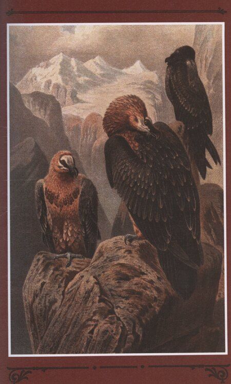 Фотография книги "Дочь Солнца"