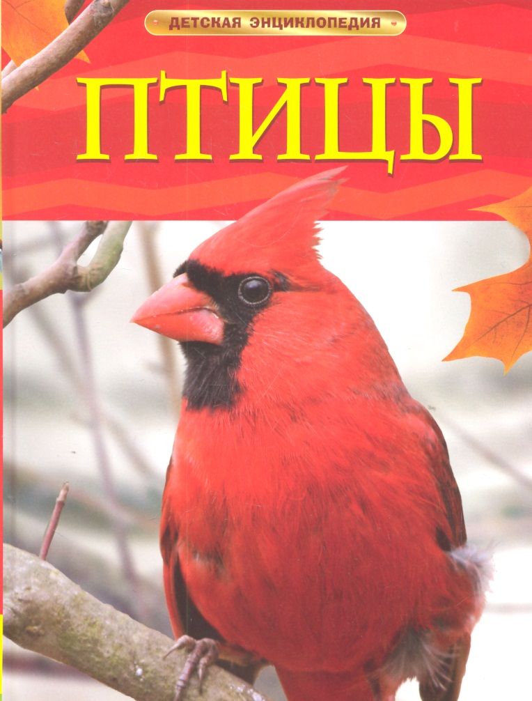 Обложка книги "Догерти: Птицы."