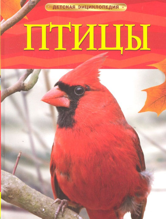 Обложка книги "Догерти: Птицы."