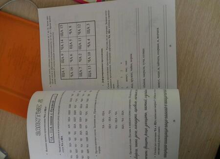 Фотография книги "Долгова, Зиборова: Пиши правильно! Учебно-методическое пособие по формированию учебных навыков и орфографической"