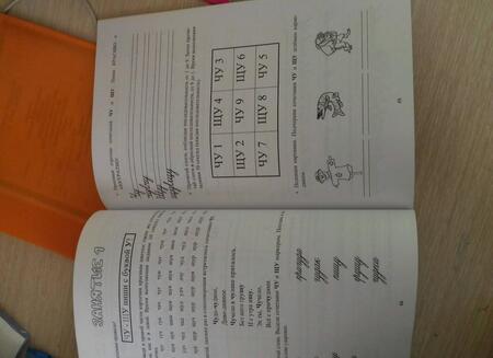 Фотография книги "Долгова, Зиборова: Пиши правильно! Учебно-методическое пособие по формированию учебных навыков и орфографической"