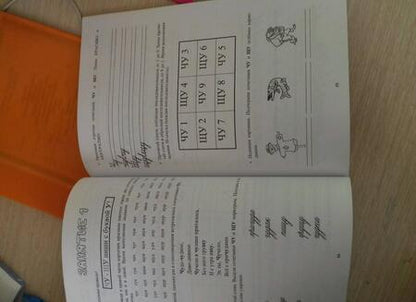 Фотография книги "Долгова, Зиборова: Пиши правильно! Учебно-методическое пособие по формированию учебных навыков и орфографической"