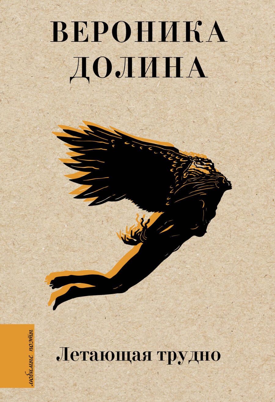 Обложка книги "Долина: Летающая трудно"