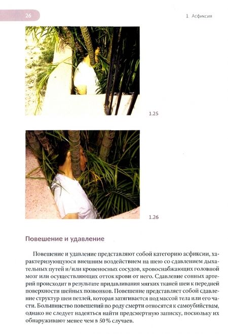 Фотография книги "Долинак, Матшес, Лью: Судебно-медицинская экспертиза трупа. Том 3"