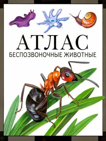 Обложка книги "Дольник, Козлов: Атлас. Беспозвоночные животные"