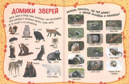 Фотография книги "Доманская, Максимова: Большая книга пряталок и находилок"
