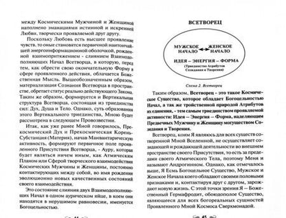 Фотография книги "Домашева-Самойленко, Самойленко: Евангелие вечности. Провозвестие Всетворца. Книга 1"