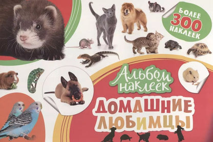 Обложка книги "Домашние любимцы"