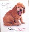 Обложка книги "Домашние любимцы"
