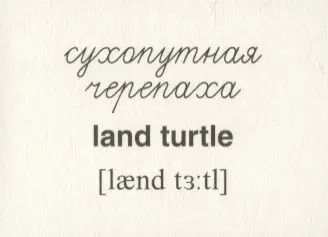 Фотография книги "Домашние питомцы. 16 раздаточных карточек со словами на русском и английском языках на обороте"