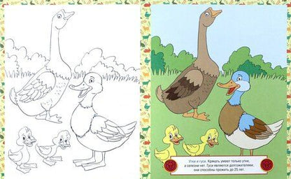 Фотография книги "Домашние животные. Детская раскраска"