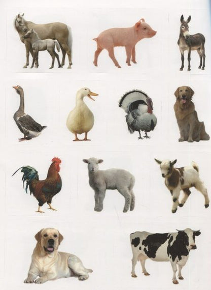 Фотография книги "Домашние животные. Дополни картинку! Внутри 48 фото-наклеек!"