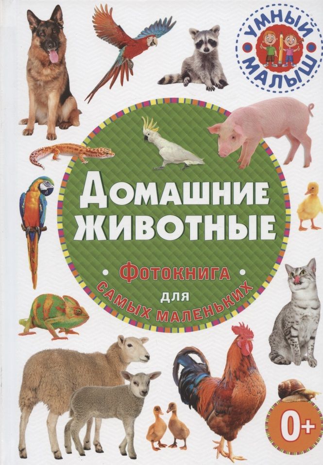 Обложка книги "Домашние животные. Фотокнига для самых маленьких"