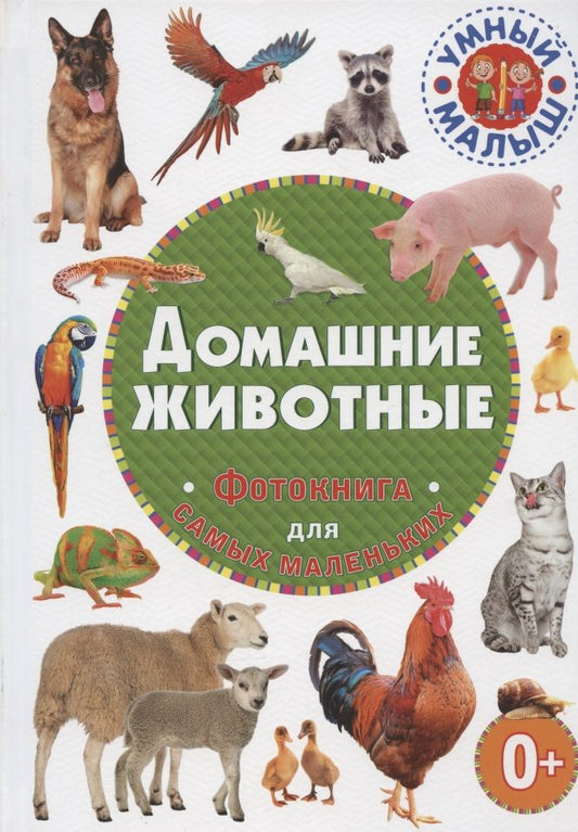 Обложка книги "Домашние животные. Фотокнига для самых маленьких"