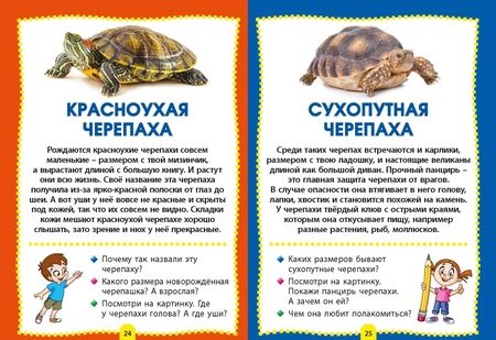 Фотография книги "Домашние животные. Фотокнига для самых маленьких"