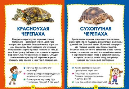 Фотография книги "Домашние животные. Фотокнига для самых маленьких"