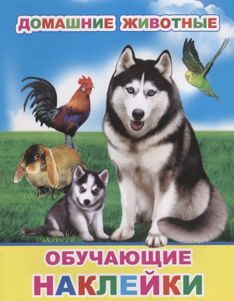 Обложка книги "Домашние животные. Обучающие наклейки"