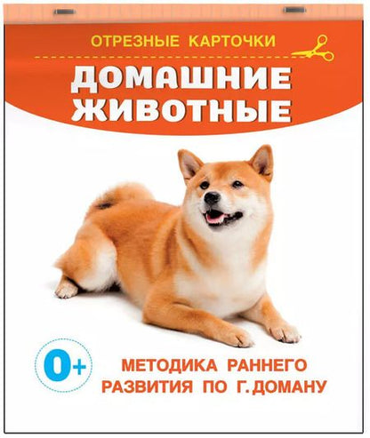 Фотография книги "Домашние животные. Отрезные карточки"
