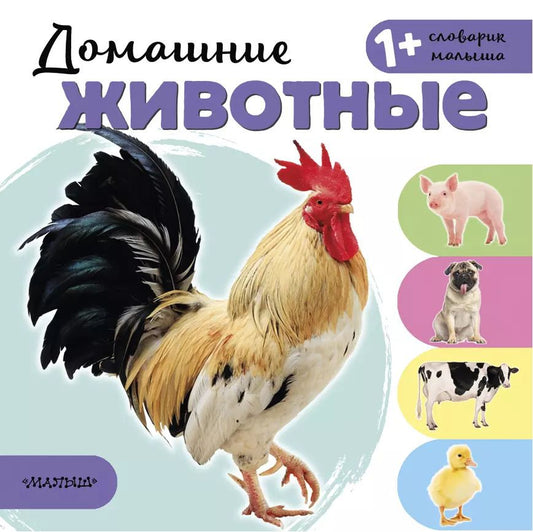 Обложка книги "Домашние животные"