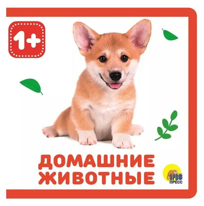 Обложка книги "Домашние животные"