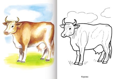 Фотография книги "Домашние животные"