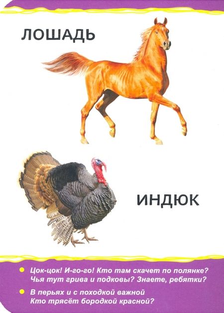 Фотография книги "Домашние животные"