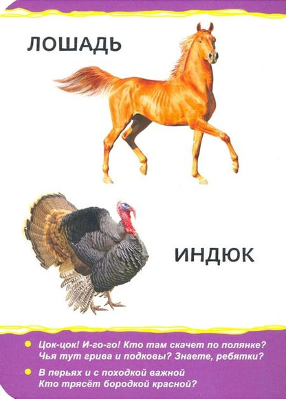 Фотография книги "Домашние животные"