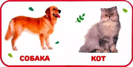 Фотография книги "Домашние животные"