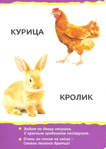 Фотография книги "Домашние животные"