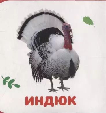 Фотография книги "Домашние животные"