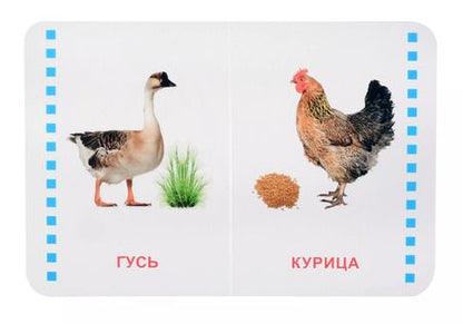 Фотография книги "Домашние животные"