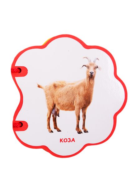 Фотография книги "Домашние животные"