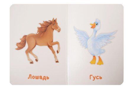 Фотография книги "Домашние животные"