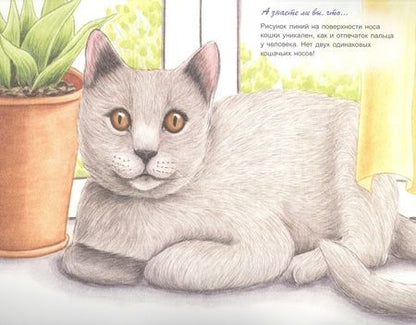 Фотография книги "Домашние животные"